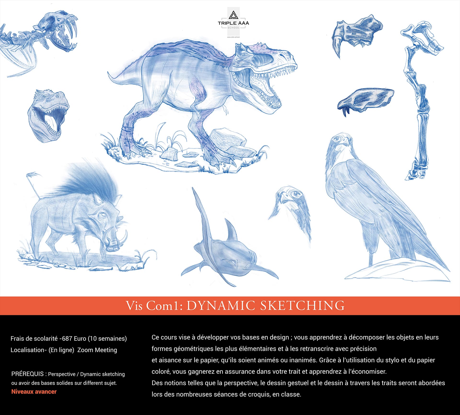 VisCom1-DynamicSketching-V2